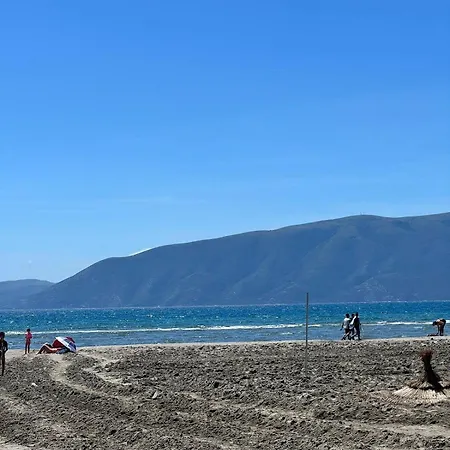 Seaside فلورا